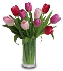 We did not find results for: 10 Tulips Arranged In A Vase Assorted Brig Iowa City Ia Florist