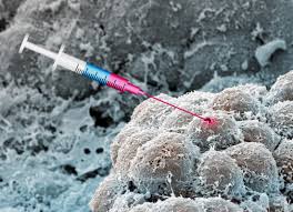 Image result for ROS1 Inhibitor