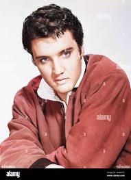 Elvis presley portrait hi-res stock photography and images