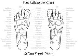 Foot Reflexology Chart German Descr Foot Reflexology Chart