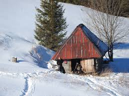 Sa reimprospatam subiectul ținând cont ca emisiunea încă exista, iar în reluare pe tvrplus.ro sunt toate episoadele din 2012 parcă. NaturÄ Si AventurÄ Home Facebook