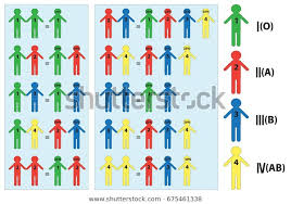 Blood Type Chart Mother Father Child Stock Image Download Now