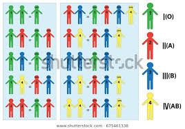 blood type chart mother father child stock vector royalty