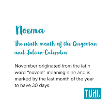 Noema We Have A Had A Few Questions Why This Year We Are Using The Translated Names Like Noema Tihema As We In 2020 This Or That Questions Latin Words Words