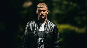 Zayn malik attends the premiere of straight outta compton at microsoft theater on august 10, 2015 in los angeles, california. Zayn Malik S A Whole New World With Zhavia Ward From Aladdin 2019 Soundtrack Drops Abc30 Fresno