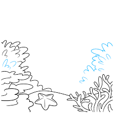 Colouring in pictures volkswagen beetle. How To Draw A Coral Reef Really Easy Drawing Tutorial