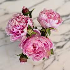 The fake flowers are actually real, at least in a sense. Luxury Artificial Pink Peony Amaranthine Blooms