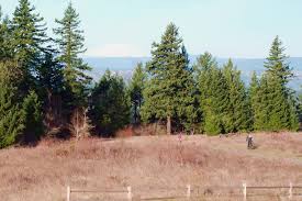 Om du är ute efter saker att göra i området kan du stanna till och besöka moda center och veterans memorial coliseum. Powell Butte Nature Park In Se Portland Shareoregon