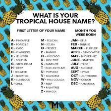 We Made You A Tropical House Name Generator Magnetic Magazine Silly Names Funny Name Generator Funny Names
