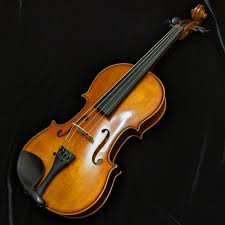 Image result for Viola