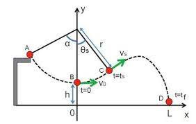 Numerical Model Of The Tarzan Swing Jump Cool Writing Tarzan Swing