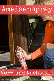 Ameisenspray Selbst De Ameisen Spray Insekten