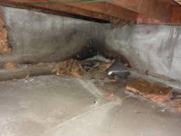 Fortunately, there are ways to spruce up your unfinished basement and turn it into an environment that you actually want to spend time in. Unfinished Basements And Crawlspace Inspection House Sound Home Inspections Home Inspection