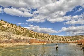 The Mighty San Juan River Pat Dorsey Fly Fishing