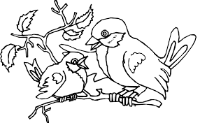 Click the american robin coloring pages to view printable version or color it online (compatible with ipad and android tablets). Robin Coloring Pages Best Coloring Pages For Kids