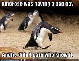 Ambrose Was Having A Bad Day Andhe Didn T Care Who Knew It Cheezburger Funny Memes Funny Pictures