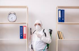 How often to pest control. How Often Should Businesses Spray For Pest Control