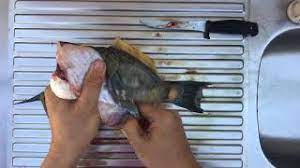 How To Clean A Leatherjacket Fish Youtube