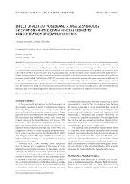 Image result for Alectra vogelii