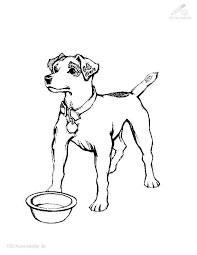 Pin Auf Tiere