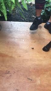 We offer amazing pest control services in wichita, kansas, and the surrounding area. Allstar Pest Control Home Facebook