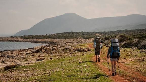 How to Find a Travel Companion: Safe Options and Some to Avoid