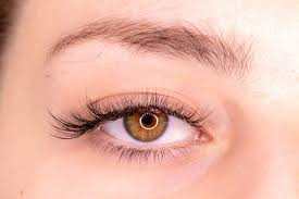 Save 10% on your cat eye lashes. What Length Eyelash Extensions Should You Get Our Advice