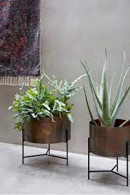 Medley planter is a stylish, contemporary planter that adds elegance to any home or office. Large Indoor Antique Planter Collection French Connection