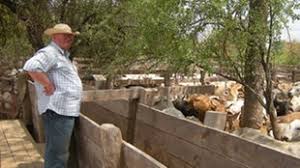 Erlebte Geschichten mit Franz Thiessen