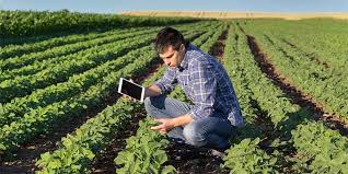 Feliz día del agrónomo a todos aquellos que con voluntad y entereza desempeñan está noble profesión, procedentes de todas las universidades y escuelas de méxico. Ingeniero Agronomo Un Profesionista Todo Terreno Noticias Del Agro
