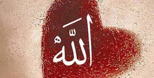 Image result for Allah's beloved