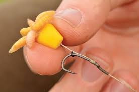 Pin On Carp Fishing
