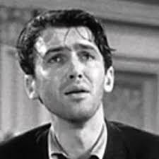 Jane Polk Sinski (@GrlFrmThCountry)