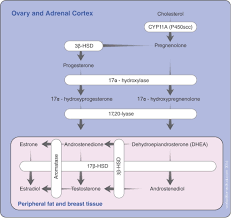 Does it cause vaginal bleeding? Ovarian Ablation For Premenopausal Breast Cancer A Review Of Treatment Considerations And The Impact Of Premature Menopause Cancer Treatment Reviews