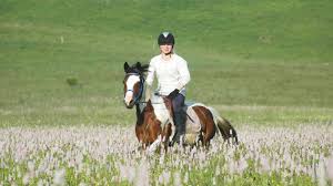 Going on a wild horse trip is an amazing experience. Riding Holiday Horse Riding Holiday Bosnia Horsexplore