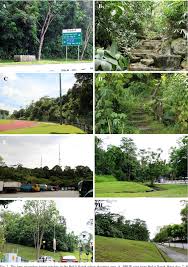 Bukit batok town park is a nature park located within the guilin precinct of bukit batok. Pdf The Vascular Plant Flora Of Bukit Batok Singapore Semantic Scholar