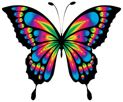 Image result for butterflies