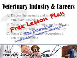 Pin On Teach Vet Science