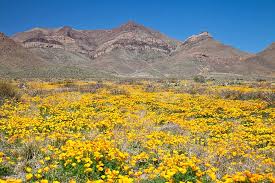 Maybe you would like to learn more about one of these? 12 Top Rated Attractions Things To Do In El Paso Tx Planetware