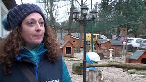 L'objectif principal du refuge de villevaudé est. Reportage Au Refuge De Villevaude 77 Youtube