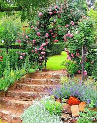 Epingle Par Mdh Les Orchidees Sur Garden Driveway Beaux Jardins Jardins Fleur Jardin