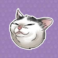 Download and use 10,000+ funny stock photos for free. Beatriz Hernandez Funny Cats Stickers