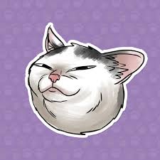 Select the use as a wallpaper button 7. Beatriz Hernandez Funny Cats Stickers