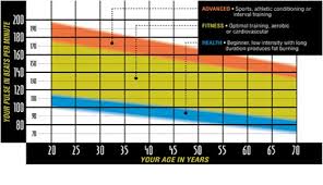 10 Factual Cardio Zone Heart Rate Chart