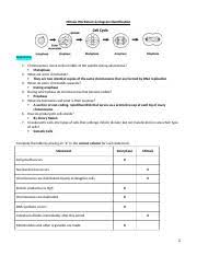 Mitosis worksheet and diagram identification answers worksheets from mitosis worksheet and diagram identification, source:guillermotull.com Mitosis Worksheet Pdf Name S00578168 Mitosis Worksheet Diagram Identification 1 Chromosomes Move To The Middle Of The Spindle During What Phase Course Hero