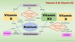 Vitamin D Co Faktor Vitamin K2 Wichtiger Co Faktor Von Vitamin D Sonnenallianz