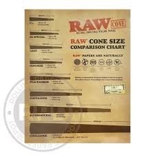 Raw Cone Size Comparison Poster