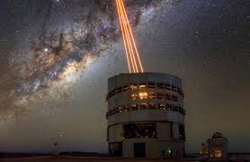 Image result for Farquharia elliptica