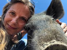 Good Life Refuge event series will virtually open the barn doors to allow  people to get to know its residents The Longmont Leader