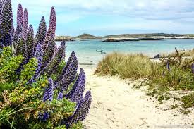 51 Places To Visit In The Uk You Have To See These Beautiful Places In England Places To Visit Places In England